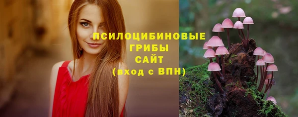 прущий лед Покровск
