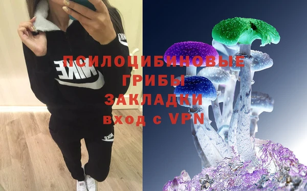 бошки Алзамай