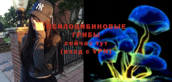 бошки Алзамай